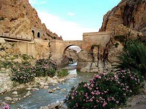 Promotion du tourisme en Algérie: Les médias fortement sollicités