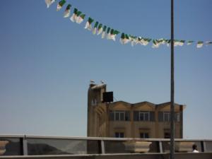 Les cigognes à Souk-Ahras