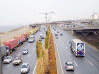 Algérie - Après l'opération de plantation à travers le pays: Histoire d'arbres et de palmiers