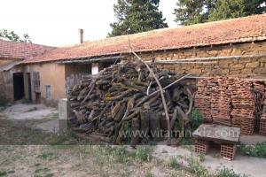 Les Jardins du monastère Notre-Dame de l\'Atlas, Tibehrine, Médéa