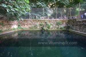 Les Jardins du monastère Notre-Dame de l\'Atlas, Tibehrine, Médéa