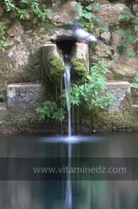 Les Jardins du monastère Notre-Dame de l\'Atlas, Tibehrine, Médéa