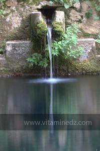 Les Jardins du monastère Notre-Dame de l\'Atlas, Tibehrine, Médéa