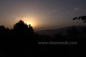 Les Jardins du monastère Notre-Dame de l\'Atlas, Tibehrine, Médéa