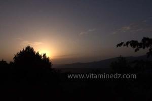 Les Jardins du monastère Notre-Dame de l\'Atlas, Tibehrine, Médéa