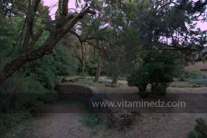 Les Jardins du monastère Notre-Dame de l\'Atlas, Tibehrine, Médéa