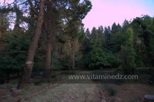 Les Jardins du monastère Notre-Dame de l\'Atlas, Tibehrine, Médéa