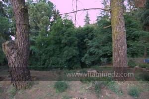 Les Jardins du monastère Notre-Dame de l\'Atlas, Tibehrine, Médéa