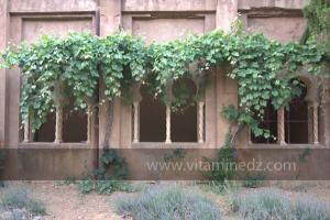 Les Jardins du monastère Notre-Dame de l\'Atlas, Tibehrine, Médéa