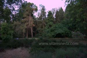 Les Jardins du monastère Notre-Dame de l\'Atlas, Tibehrine, Médéa