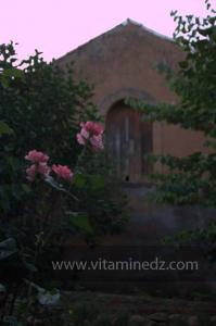 Les Jardins du monastère Notre-Dame de l\'Atlas, Tibehrine, Médéa