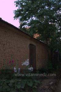 Les Jardins du monastère Notre-Dame de l\'Atlas, Tibehrine, Médéa