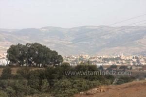 Journées photos à Medea - Printemps 2012