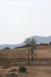 Journées photos à Medea - Printemps 2012