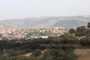 Journées photos à Medea - Printemps 2012