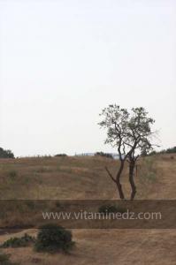 Journées photos à Medea - Printemps 2012