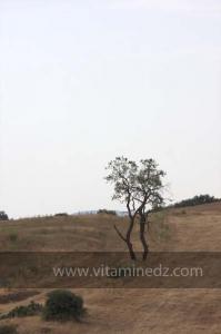 Journées photos à Medea - Printemps 2012