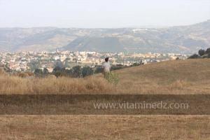 Journées photos à Medea - Printemps 2012