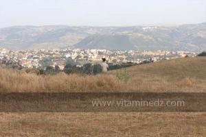 Journées photos à Medea - Printemps 2012