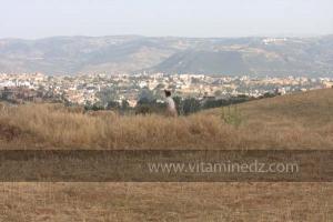 Journées photos à Medea - Printemps 2012