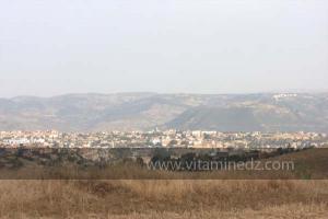 Journées photos à Medea - Printemps 2012