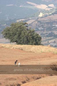 Journées photos à Medea - Printemps 2012