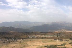 Journées photos à Medea - Printemps 2012