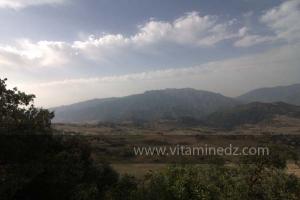 Journées photos à Medea - Printemps 2012