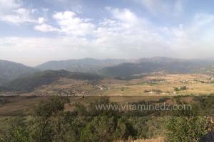 Journées photos à Medea - Printemps 2012