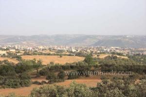 Journées photos à Medea - Printemps 2012