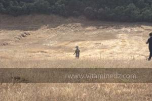 Journées photos à Medea - Printemps 2012