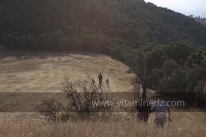 Journées photos à Medea - Printemps 2012