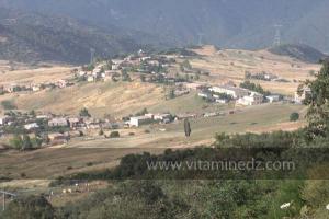 Journées photos à Medea - Printemps 2012