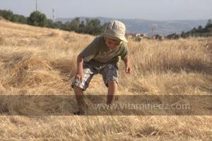 Journées photos à Medea - Printemps 2012