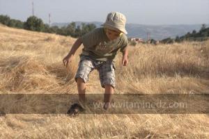 Journées photos à Medea - Printemps 2012