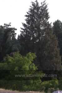 Journées photos à Medea - Printemps 2012