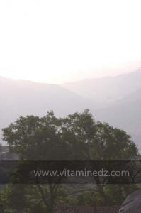 Journées photos à Medea - Printemps 2012