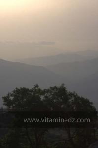 Journées photos à Medea - Printemps 2012