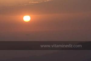 Journées photos à Medea - Printemps 2012