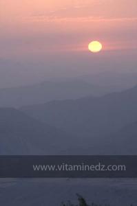 Journées photos à Medea - Printemps 2012