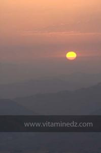 Journées photos à Medea - Printemps 2012