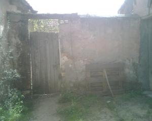 nature algérienne 7