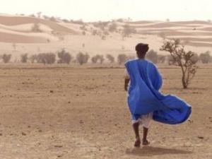 Algérie - La désertification pourrait raser Alger en trois ans