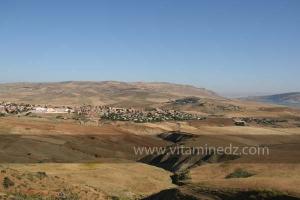 Commune de Lahlaf (El Alef), située au bord du Oued Rhiou, Relizane.