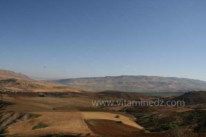 Commune de Lahlaf (El Alef), située au bord du Oued Rhiou, Relizane.