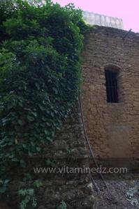 Les Jardins du monastère Notre-Dame de l'Atlas, Tibehrine, Médéa