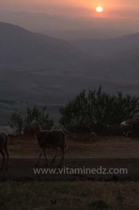 Journées photos à Medea - Printemps 2012