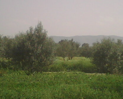 nature algérienne 3