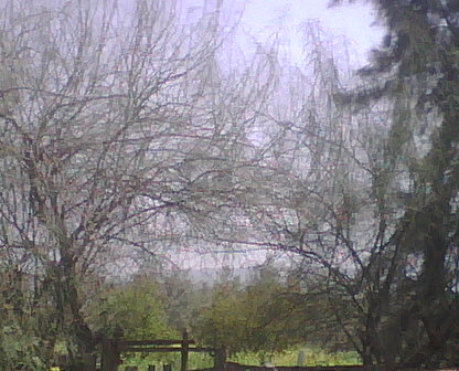 nature algérienne 9