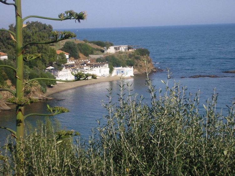 annaba ex bone la plage belvédèr